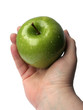 apple for you apple for you