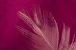 softness detail