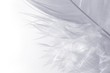 white on white