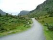 irland / ireland
