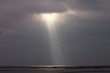 sunbeam at cedar key