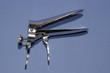 speculum 004