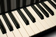 piano keys piano keys