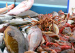 choix de poissons choix de poissons