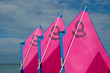 voiles d'optimistes