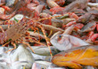 choix de poissons