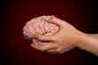 brain