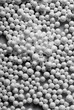 polystyrene