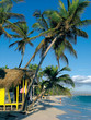 canvas print picture bavaro beach