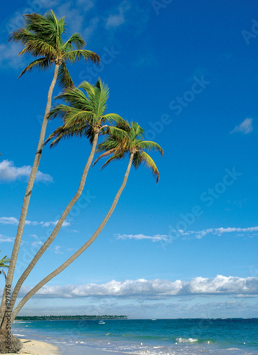 Foto: punta cana beach punta cana beach