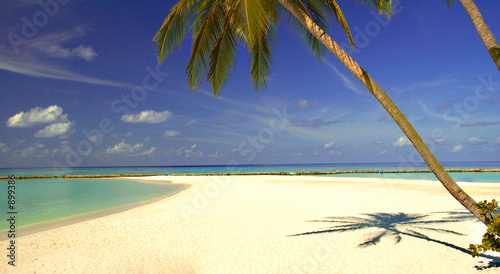 maldivian beach