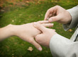 the bride's ring