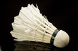 shuttlecock