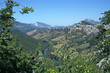 tal eines bergflusses