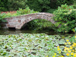 bridge over pond bridge over pond
