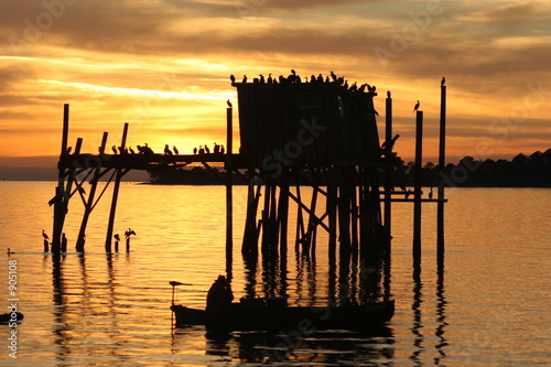 cedar key,pelican,sunset,bird,levy county,florida, cedar key,pelican,sunset,bird,levy county,florida,