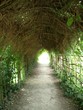 tunnel vert