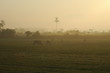 countryside sunrise