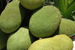 yaka fruit