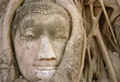 head of buddha head of buddha