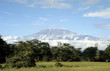 kilimanjaro