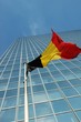 skyscraper with flag