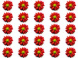 red flowers