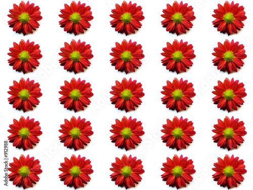 red flowers