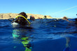 ready to dive? ready to dive?