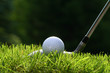 golf club with ball