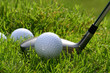 golf club with balls