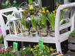 blumenarrangement
