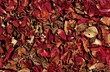 rosen teppich rosen teppich