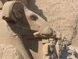 sphinx de karnac