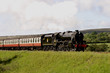 steam locomotive