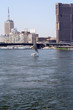 sailing boat at nile river in egypt sailing boat at nile river in egypt