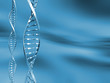 dna strands