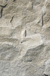stone tile
