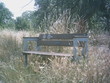 bank in der wiese