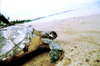 sao tome 2