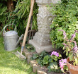 Photo: in the garden in the garden