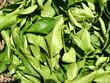 tisane