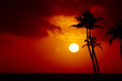 tropical paradise tropical paradise