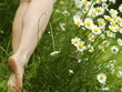 spring walking