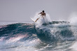 surfing maldives