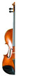 Photo: half violin half violin