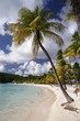 caribbean beach