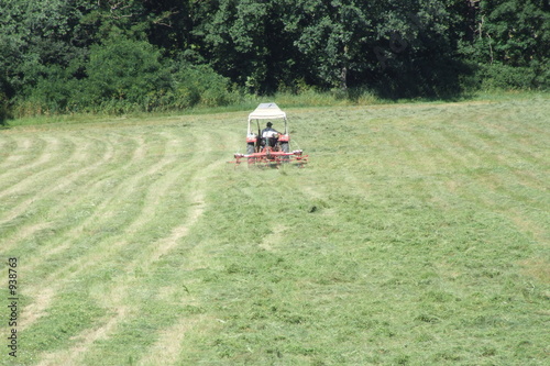 Photo: sommerzeit- heuzeit, futterzeit sommerzeit- heuzeit, futterzeit