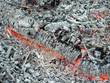 glimmende holzasche glimmende holzasche