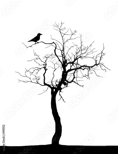 Illustration: tree tree